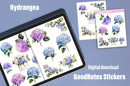Hydrangea digital sticker GoodNotes