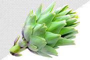 Raw artichokes, an Object Graphic by Fruits+Veggies (Thumbnail 2 of 4)