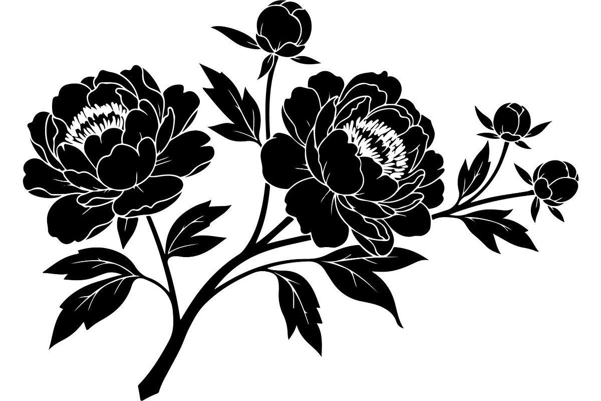 Peony Flower Silhouette, an Object Graphic by Designer_Momina (Photo 4 of 18)