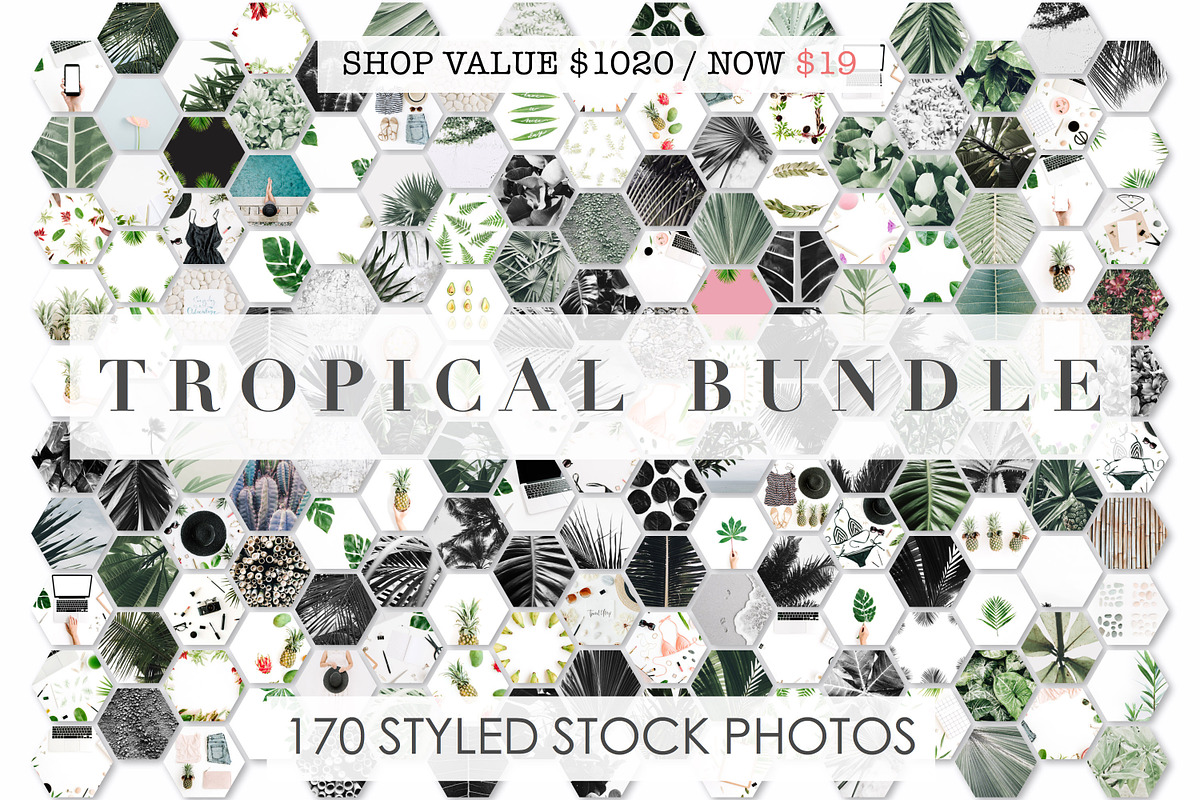 98% OFF | Tropical Bundle | 170 IN 1, a Photo by Floral Deco (Photo 1 of 14)