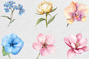 Watercolor Pastel Flowers Clipart, an Illustration by Black Bird Studio (Thumbnail 2 of 6)