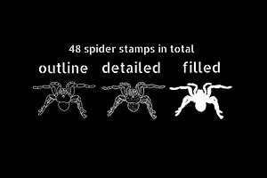 50 Procreate Spiders & Webs Stamps