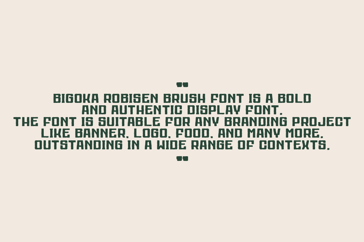 Bigoka Robisen Brush, a Handwritten Font by QR Design Studio (Photo 5 of 7)