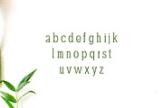 Darrion Slab Serif Font Family, a Slab Serif Font by Creativetacos (Thumbnail 3 of 4)