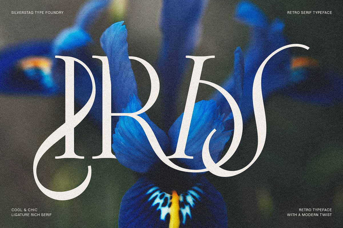 Frosty Garden - Elegant Retro Serif, a Serif Font by SilverStag Type Foundry (Photo 6 of 19)