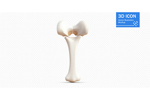 3D illustration of a human femur, an Illustration by ZinetroN