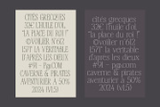 ANERIA — Editorial Serif, a Serif Font by Issam Type (Thumbnail 6 of 14)