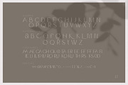 Claro - Elegant Font Family, a Sans Serif Font by AndrewPixelType (Thumbnail 14 of 14)