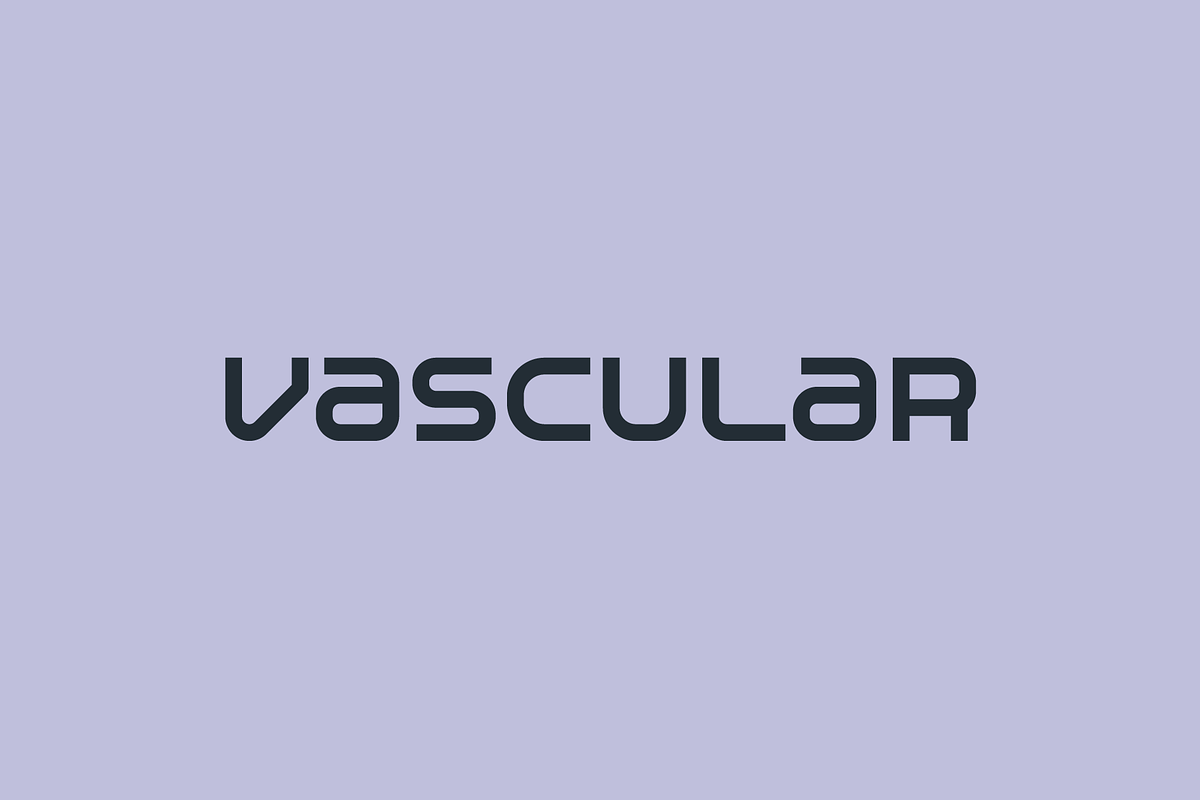 Vakgok Font, a Sans Serif Font by baqoos (Photo 9 of 10)