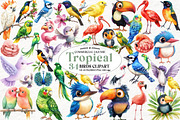 Watercolor Tropical Birds Clipart, an Illustration by Watercolor design (Thumbnail 1 of 4)