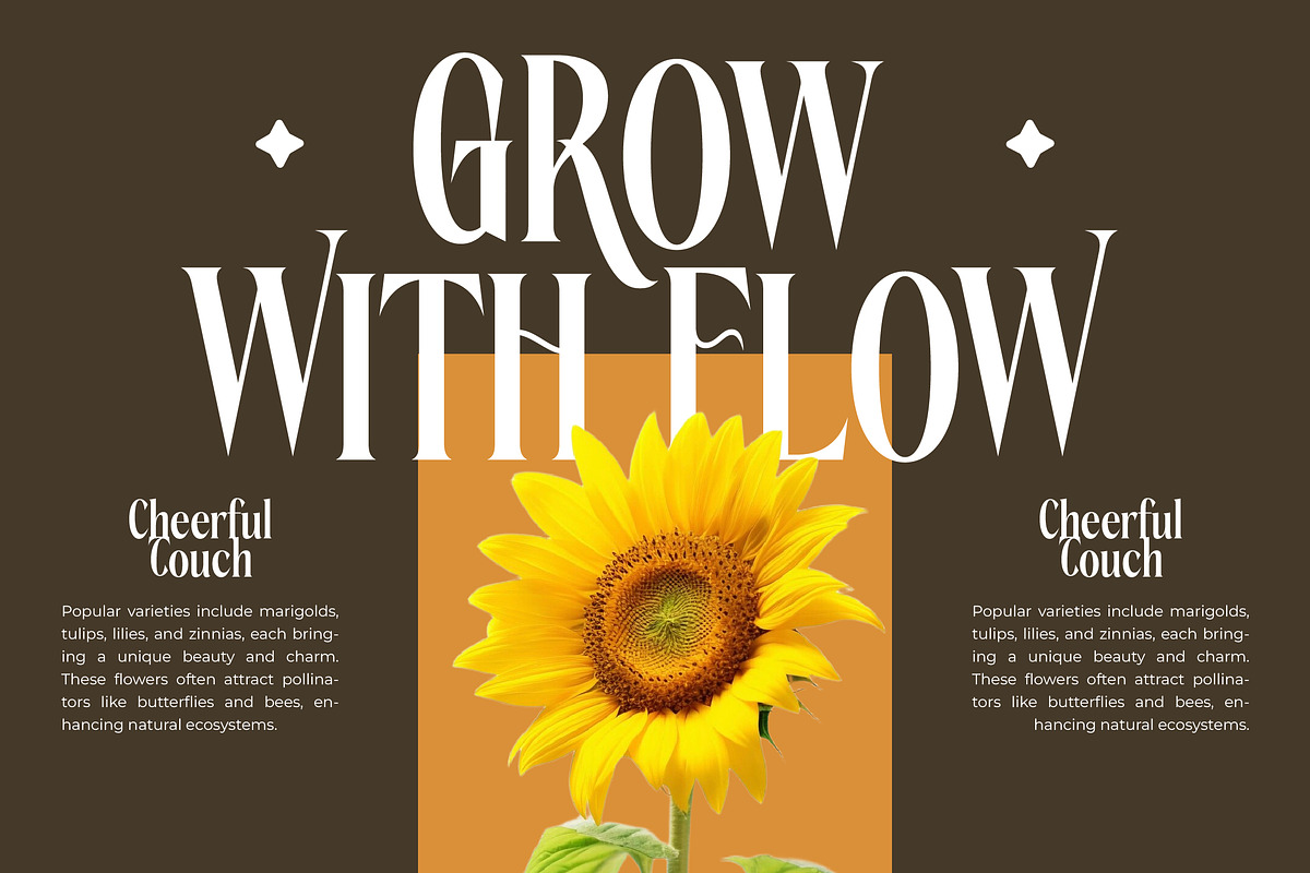 Rachon Bold Tall Display Serif, a Serif Font by timelesstype.co (Photo 3 of 20)
