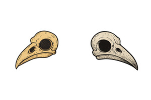Detailed illustration of two bird, an Animal Illustration by ZinetroN
