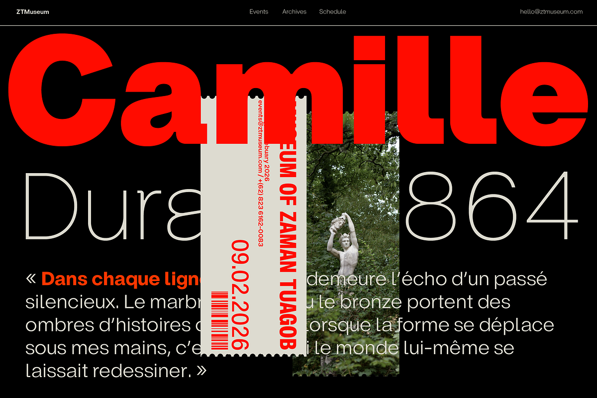 ZT Hoky Geometric - 54 Fonts, a Sans Serif Font by zelow type (Photo 10 of 15)