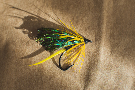 Macro shot of a wet fly fishing , Magalloway