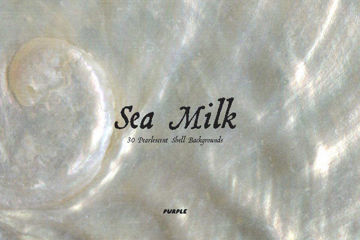 Sea Milk: Sheashell Backgrounds, a Background Graphic by Purple (Photo 7 of 10)