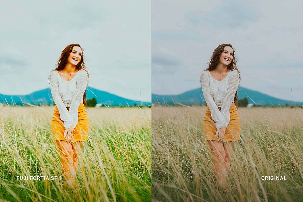 Fuji Fortia SP II, a Preset Add-On by colorituals (Photo 5 of 8)