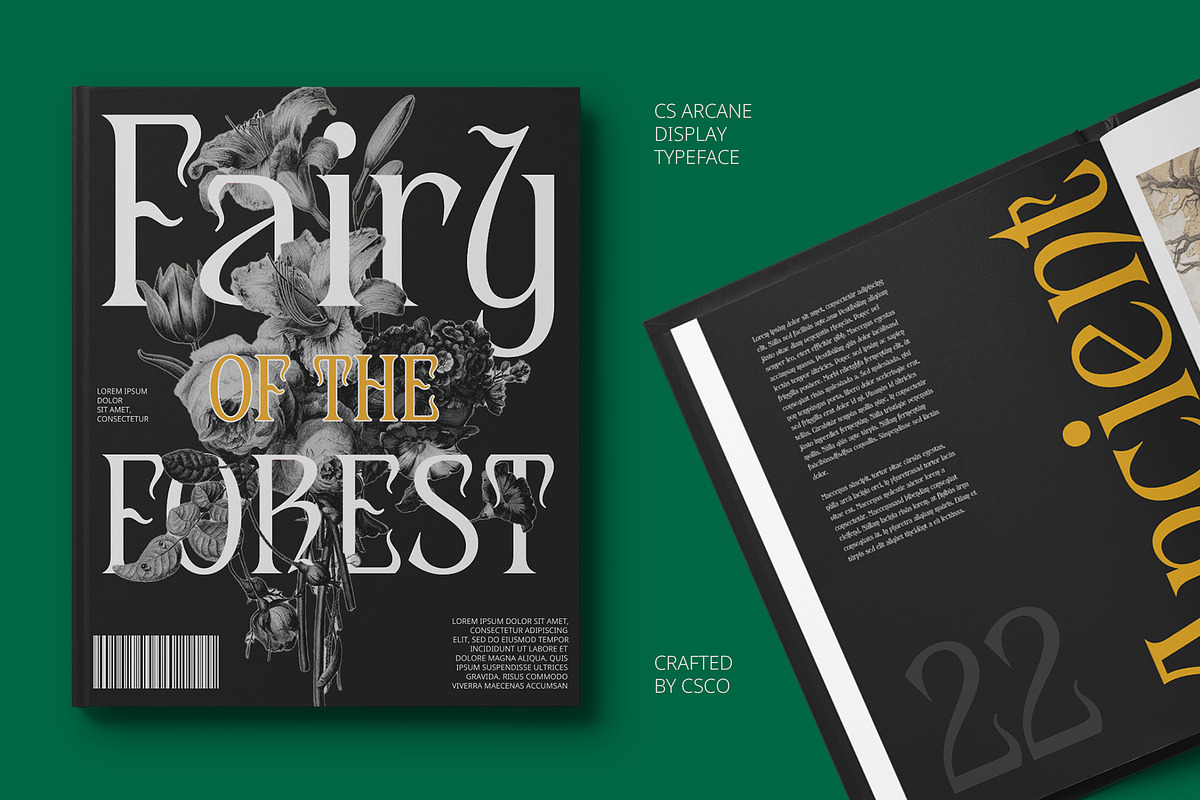 CS Arcane – Decorative Font, a Serif Font by Craft Supply Co. (Photo 7 of 8)