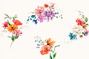 Watercolor Wildflowers & Leaves, a Decorative Illustration by Damian Roh (Thumbnail 9 of 24)