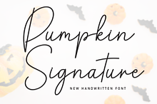Pumpkin Signature | Script Font