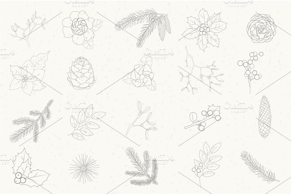 Winter collection botanical elements, a Decorative Illustration by itiir (Photo 2 of 2)