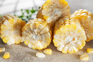 Fresh corn cobs cut ready for cooking, a Food & Drink Photo by Olena Rudo