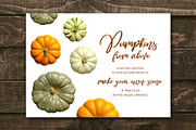 Pumpkins - Realistic Top View MockUp, an Object Graphic by Turning Moss (Thumbnail 2 of 2)