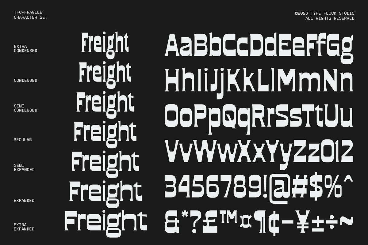 TFC Fragile Font, a Sans Serif Font by Type Flock (Photo 5 of 17)