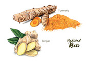 10 Green Smoothie Ingredients, a Healthcare Illustration by Miriam Figueras (Thumbnail 4 of 6)