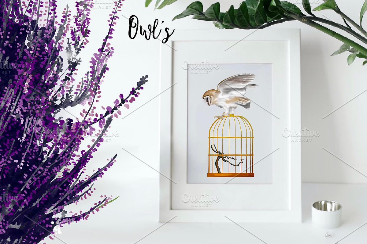 Watercolor Magic Owl, a Decorative Illustration by NNclipart (Photo 3 of 8)