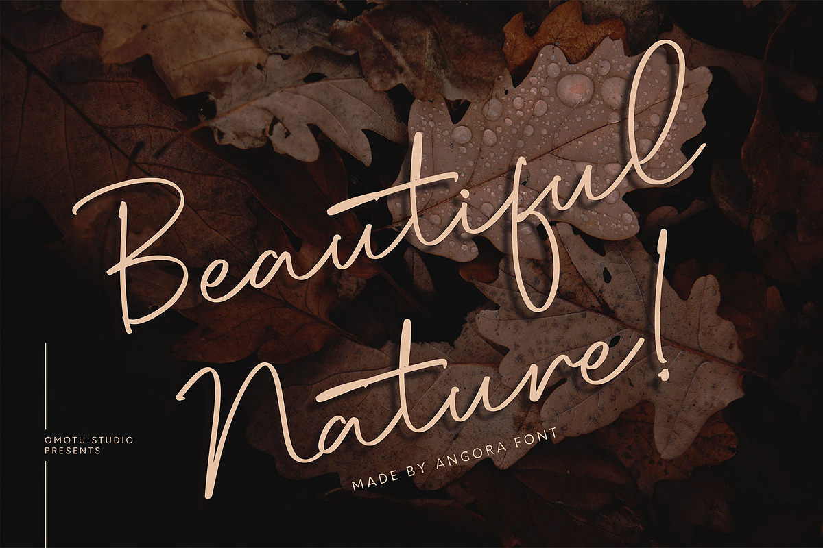 Angora, a Script Font by Omotu Studio (Photo 6 of 12)