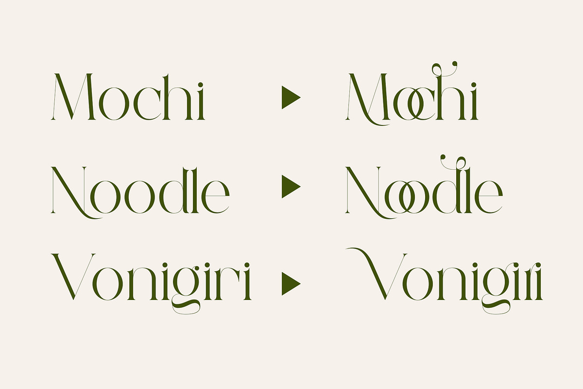 Megita - Beautiful Serif Font, a Serif Font by Aqeel_Art (Photo 8 of 12)