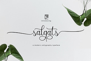 Salgats Script Font