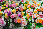 30 Flowers Lightroom Collection, a Preset Add-On by 3Motional (Thumbnail 8 of 11)