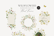WILDFLOWERS delicate floral clipart, a Person Illustration by long summer (Thumbnail 6 of 12)