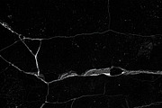 17 Grunge Rough Texture Overlay, a Texture Graphic by smishura (Thumbnail 4 of 4)