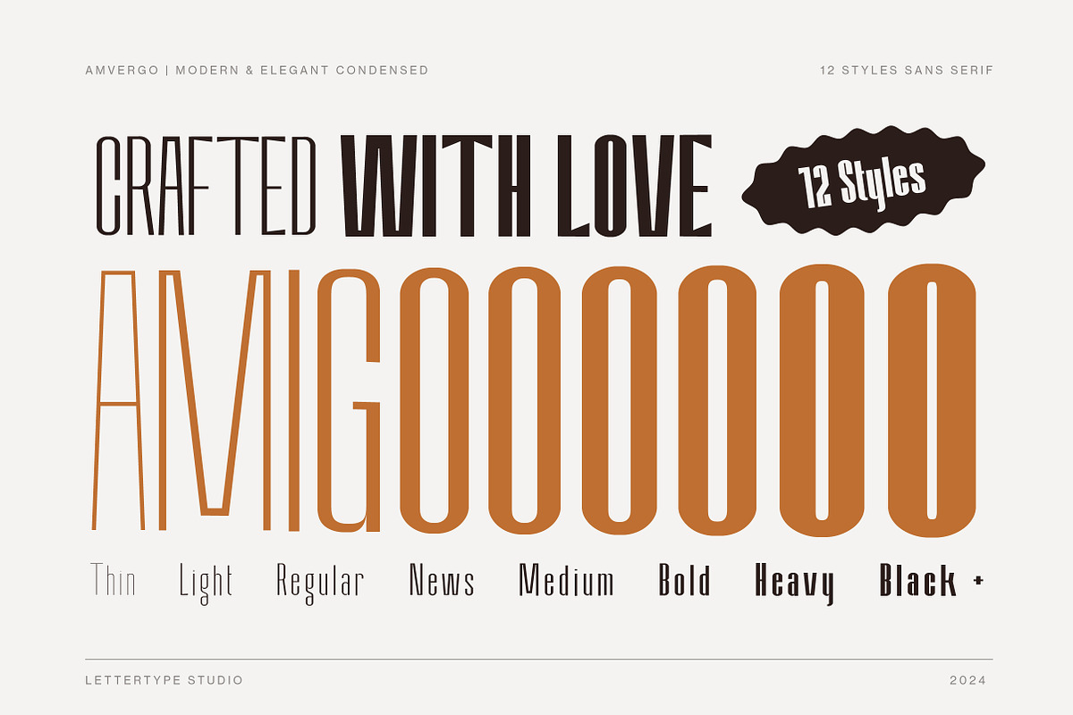Amvergo Modern Sans Family, a Sans Serif Font by Lettertype Studio (Photo 4 of 18)