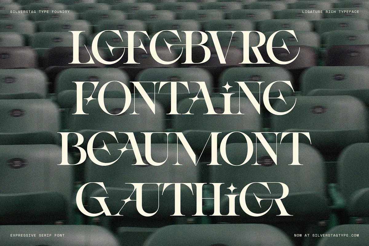 Spanish Archer - Ligature-Rich Font, a Serif Font by SilverStag Type Foundry (Photo 9 of 19)