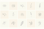 Hand Drawn Floral Elements. Frames, a Seasonal Illustration by Designwork (Thumbnail 6 of 22)