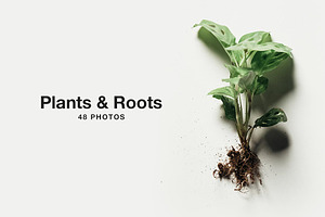 Plants & Roots Photo Pack