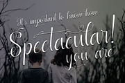 Ladylove Script Typeface, a Handwritten Font by QueenType (Thumbnail 7 of 7)