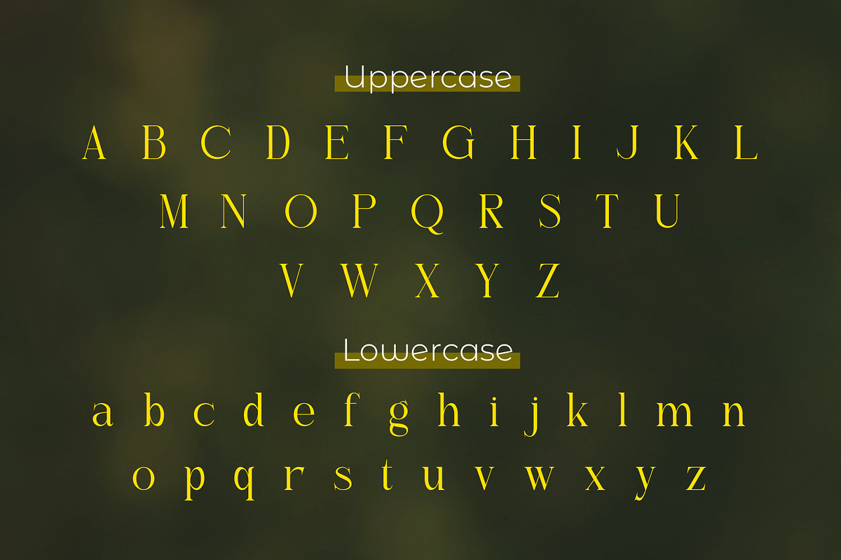 Gistabon, a Serif Font by Rishsketch (Photo 9 of 13)