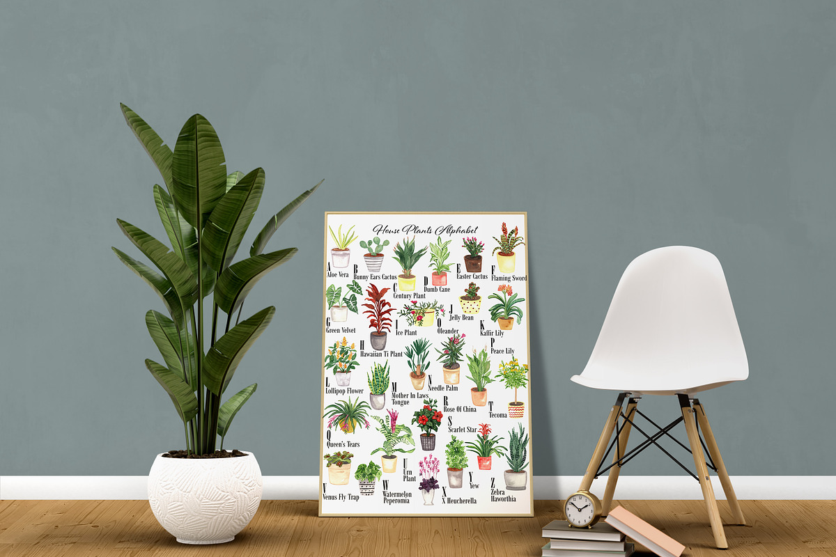 House Plants Alphabet and Clipart, a Decorative Illustration by Visual Animal (Photo 3 of 6)