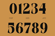 CS Anakin, a Serif Font by Craft Supply Co. (Thumbnail 6 of 8)