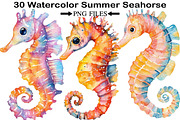 Watercolor Summer Seahorse Clipart, an Illustration by Black Bird Studio (Thumbnail 1 of 5)