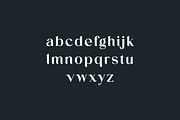 Voigante Display Classic Serif Font, a Serif Font by UICreative (Thumbnail 8 of 11)