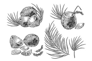 Engraving Coconut, Cocktail And Palm