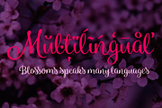 Blossoms INTRO SALE -45%, a Script Font by Fenotype (Thumbnail 10 of 10)