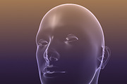 Male And Female Anatomy X-ray Bodies, a Characters & Person 3D Model by VisualCG (Thumbnail 14 of 15)