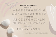 Aronia - Thin Line Logo Font, a Symbol Font by Struvictory.art (Thumbnail 4 of 9)