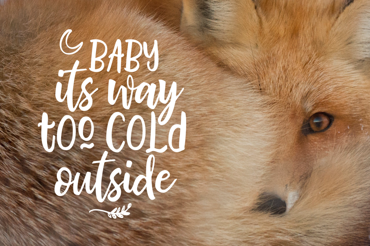Bhatoshine - Fancy Font Duo preview 4